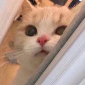 国产精品成人三级在线影院
