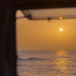 国产精品成人三级在线影院
